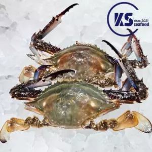 당일조업 연평도 숫꽃게 가을 제철 활꽃게 1kg 3~4미 대중