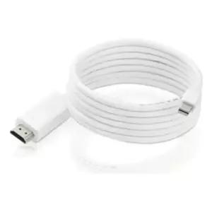 TrueAV mini displayport to Displayport cable 2m