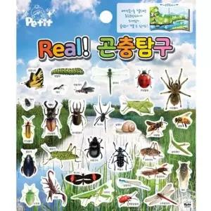 REAL곤충탐구 아동미술만들기 엄마표미술