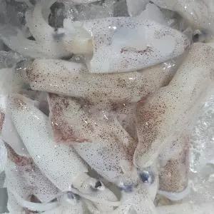 국내산 생물 한치 1kg