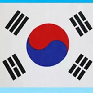 거리용 태극기 80x120cm 기타장식용품 응원용품 월드컵 국기 929E5