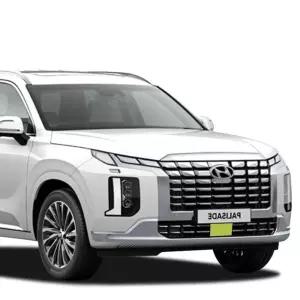 더뉴 팰리세이드 튜닝 용품 전방 센서 PPF 보호필름 차량용보호필름 필러 y-27C3C