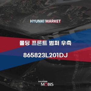 [현대모비스]몰딩 프론트 범퍼 우측 (865823L201DJ)