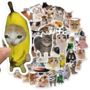 다꾸 스티커 50 100개입 네트워크 고양이 컬렉션 핸드 어카운트 DIY 그래피티 물컵 스케이트보드