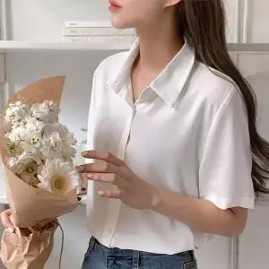 에쥬아 여성 반팔 셔츠 카라 루즈핏 블라우스 오피스룩