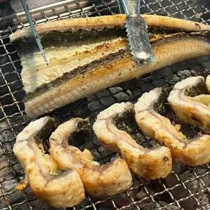 고창 자포니카 민물장어 1kg 2~3미 600g내외 소스 2종+생강채