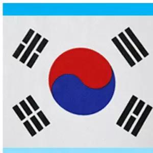 거리용 태극기80x120cm 기타장식용품 응원용품 월드컵 국기 t-6A10E