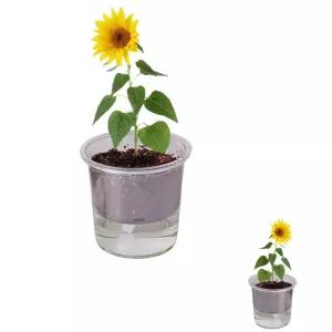 굿테라 자동급수 미니화분 식물인테리어 세트 거실 꽃 재배기 해바라기 저면관수
