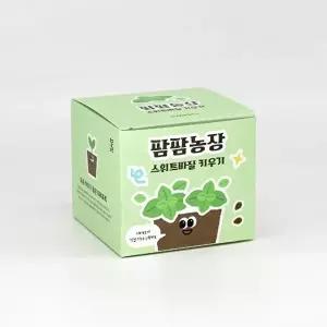 [셀러허브 생활리빙]스위트바질 모종 화분 식물 키우기 교육자료 유치원 어린이집 미니텃밭 (46834215)