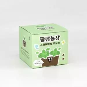 스위트바질 모종 화분 식물 키우기 교육자료 유치원 어린이집 미니텃밭