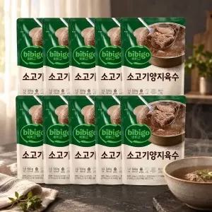 [하프클럽/CJ제일제당]CJ 비비고 진국 육수 소고기양지 500g x 10