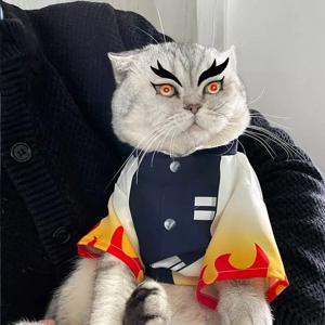 할로윈 애완동물 코스프레 렌고쿠 쿄쥬로 애완동물 코스프레 사진 촬영 렌고쿠 쿄쥬로 고양이 옷 강아지 귀신 퇴치팀 애완동물