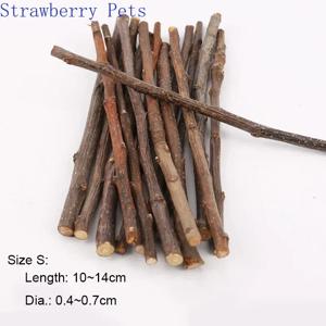 5pcs 10pcs 40pcs 씹는 스틱 사과 나무 가지 햄스터 다람쥐 자연 장난감 앵무새 토끼 그라인딩 스틱