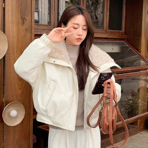 양모 혼방 PU 가죽 소재의 여성용 크롭 파카, 한국 스타일의 긴팔 플리스 안감, 두꺼운 소재로 제작되어 따뜻한 겨울용 재킷, 세련된 디자인에 지퍼가 달린 포켓이 있는 오버코트.