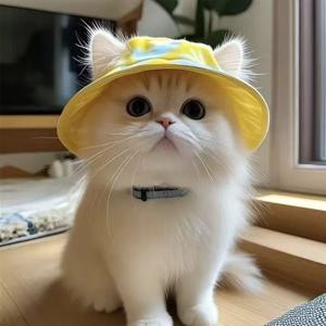 여름 애완 고양이 귀 구멍 있는 햇빛 가리개 모자 - 귀여운 아기 고양이 어부 모자 (자외선 차단, 통기성 야외 햇빛 가리개 고양이 모자)