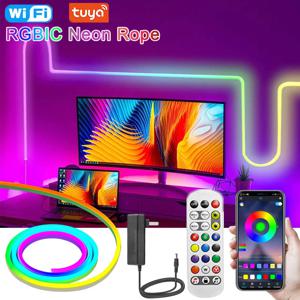 TUYA Wi-Fi 12V RGBIC 네온 LED 스트립, 84개의 LED/m, EU/AU/UK/US 플러그, 방수 기능, RGB IC LED 테이프, 알렉사 및 구글 홈과 연동 가능