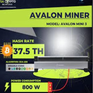 홍콩 달러(HKD)로 7개 구매 시 3개 무료! 새 제품인 Canaan Avalon Mini 3 (37.5Th/s)