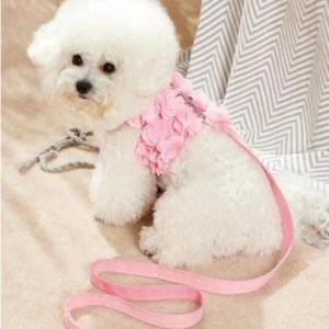 강아지 러블리 레이스 플라워 하네스 조끼 1P 샤베트 리드줄 세트 산책