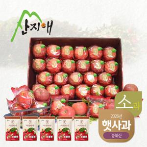 [2026 햇사과] 산지애 씻어나온 어린이 햇사과 4.5kg(22-27과)*1박스+실속사과주스 5팩