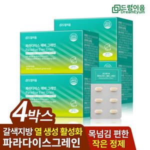 드림이음 파라다이스 그레인 에버 데일리 루틴 그래인 4개월분
