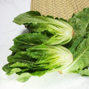 갤러리아_통로메인 1kg (익일출고) 원산지:상세설명 참조