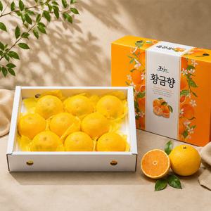 서귀포 현가원 황금향 선물세트 3kg 8-10과 (선물포장)
