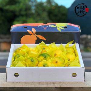 미각기행 제주 황금향 대과 선물용 2.5KG (6-9과)