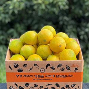 제주 황금향 가정용 2.5kg 소과