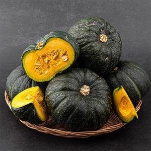 늘푸른 제주 미니밤호박 로얄과 2.5kg