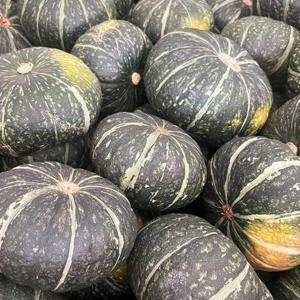 갤러리아_국내산 달콤한 단호박 10kg