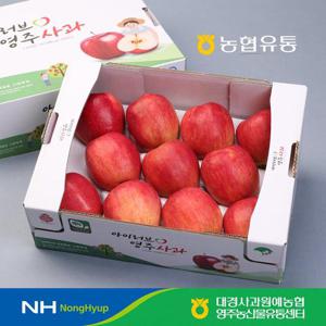 농협과일 영주 사과선물세트 2.5kg (11과내)