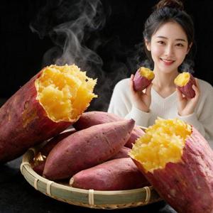 26년 수확 호풍미 호박고구마 한입10 kg