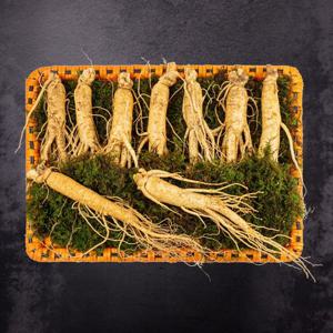 [풍기인삼] 6년근 수삼 8호 800g(8-9뿌리)