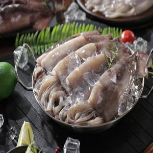 자연산 손질 통오징어 16미 (2미 X 8팩, 팩당240g)