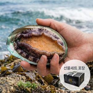 [남해촌놈들] 프리미엄 완도 활전복 선물세트 1kg(왕특대 10미)