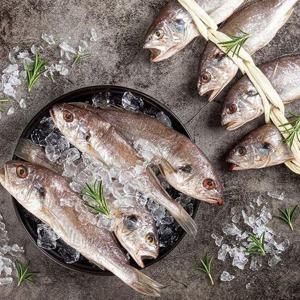 갤러리아_여수 굴비 1.5kg 10미