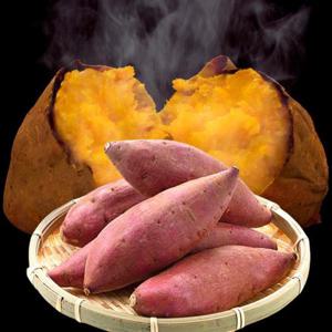 26년 수확 호풍미 호박고구마 특 3kg