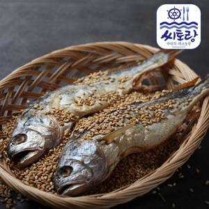 법성포 해풍건조 부세보리굴비 특 5미/28cm내외