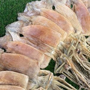 동해안 햇 마른오징어(소) 500g 건오징어