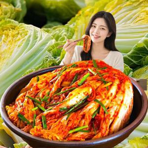 업소용 포기 보쌈 배추김치 식당 급식용 김치 10kg