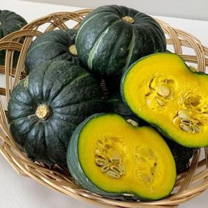 정품 제주 미니밤호박 5kg