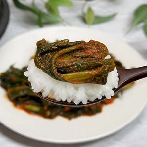 와사비나 김치 와사비 수제 김치 국내산 맛김치