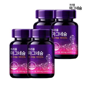 트리플 마그네슘 비타민B6 복합영양제 60정 x4개