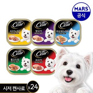 시저 캔 100g 24개 골라담기 (12+12)