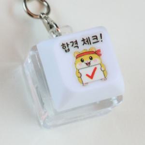 합격 체크 LED 키캡키링 수험생 응원 부적 선물 열쇠고리 가방고리 백참 감성 소품