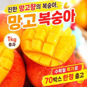 꿀고당도 옐로우드림 망고복숭아 1.1kg