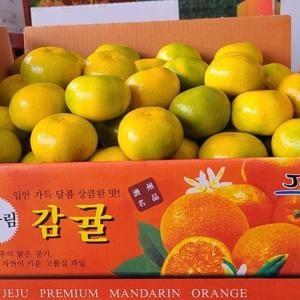 (추가증정)제주감귤 1개 구매시 3kg 증정! *3개 구매시 10kg 한박스~