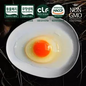 우리가족 안심계란 구쁘 옹알옹알 (30구) 8590382