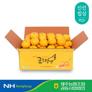 [제주농협] 귤로장생 노지감귤 4.5kg 로얄과(2S-M)