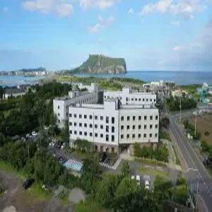 [제주] 플레이스 캠프 제주(제주, 서귀포)